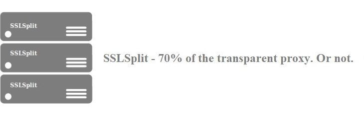 Transparent SSL proxy sslsplit