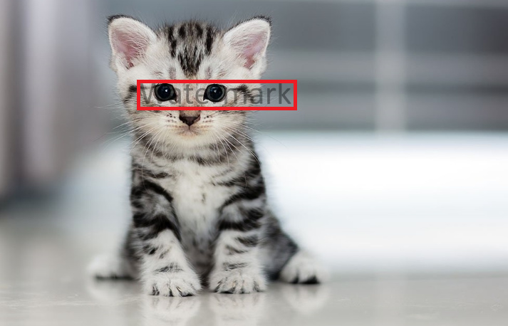 picture with a watermark