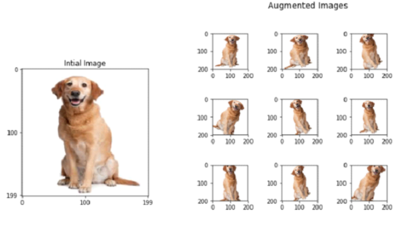 image augmentation