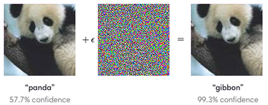 adversarial image misclassification
