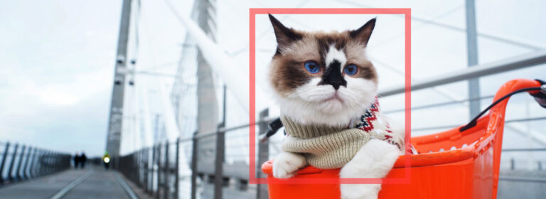 blog-article-ai-for-image-processing