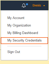 My Security Credentials