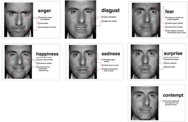 Examples of human emotion markers