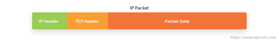 IP packet header