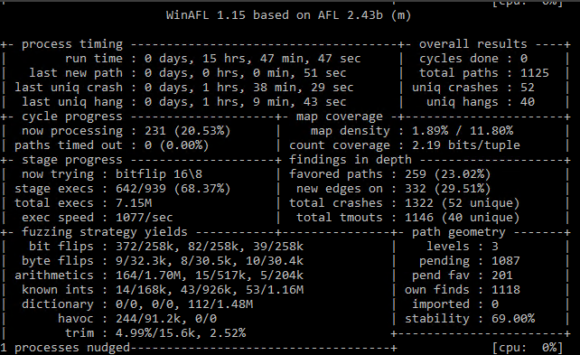 FastStone fuzzing