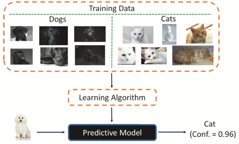 ai bias dog cat