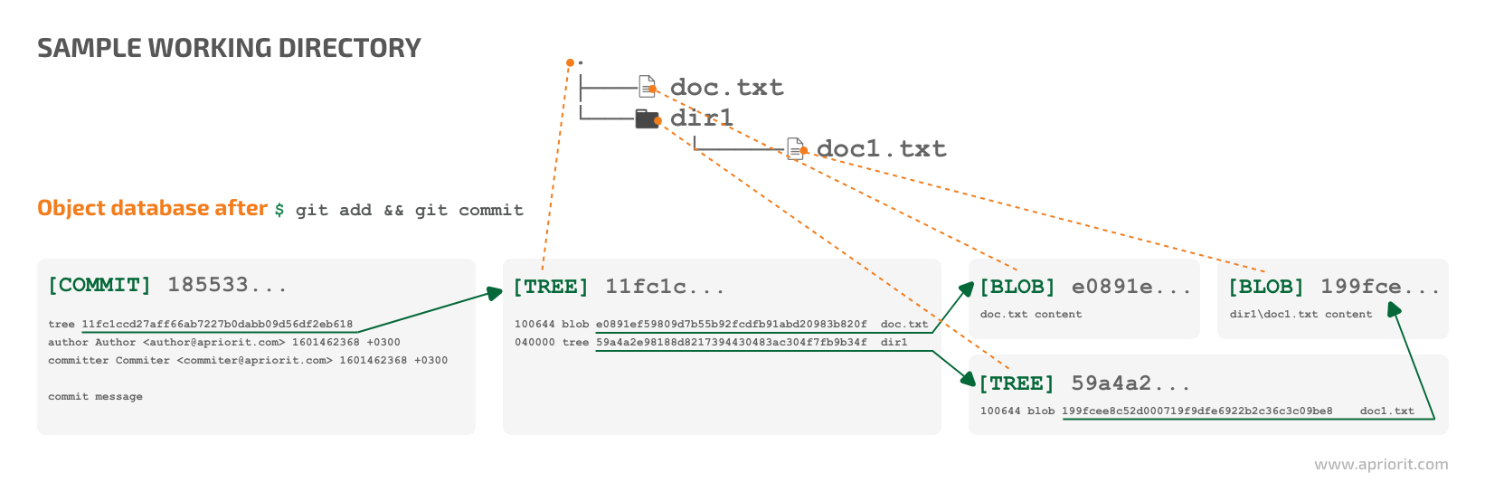 Object database state once the sample working directory is committed