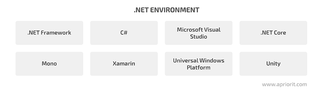 .NET environment