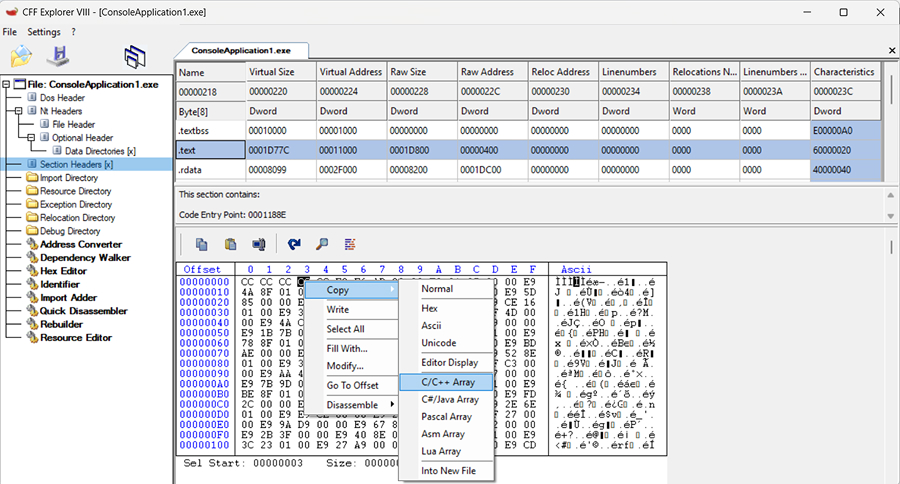 Screenshot 10. CFF Explorer interface