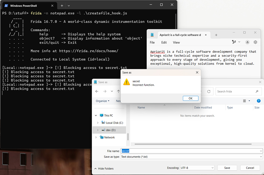 Screenshot 12. Frida interface