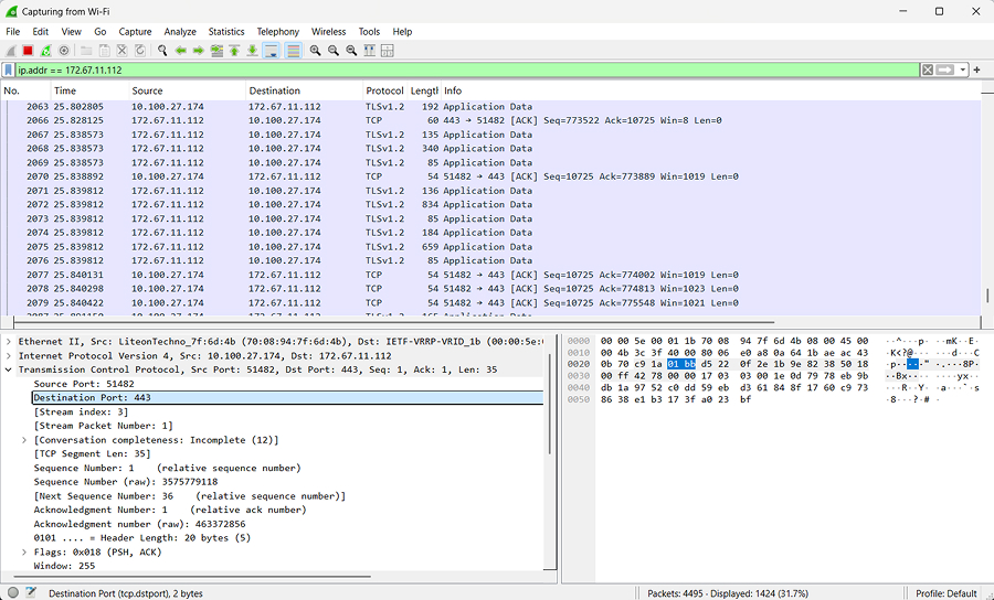 Screenshot 14. Wireshark interface