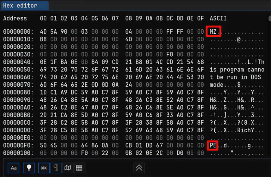 Screenshot 54. Application data in ImHex