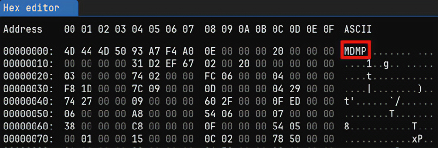 Screenshot 55. Example of a dump file processed by ImHex