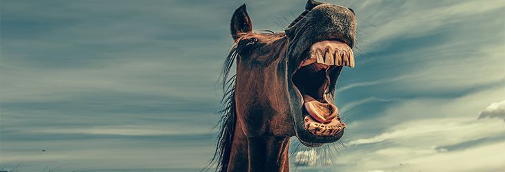 blog-44-article.jpg