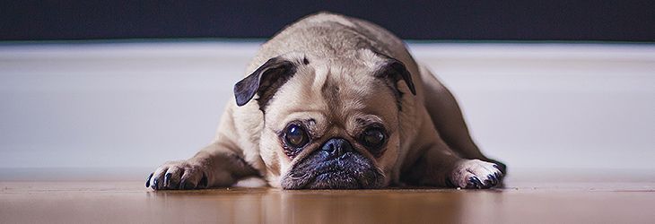 blog-59-article_var3.jpg
