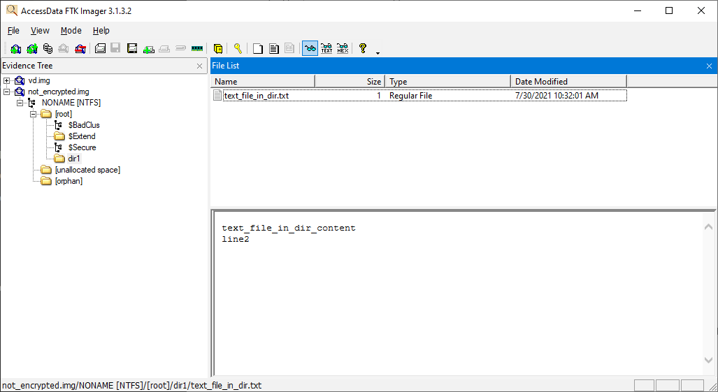 Contents of an unencrypted virtual disk in FTK Imager