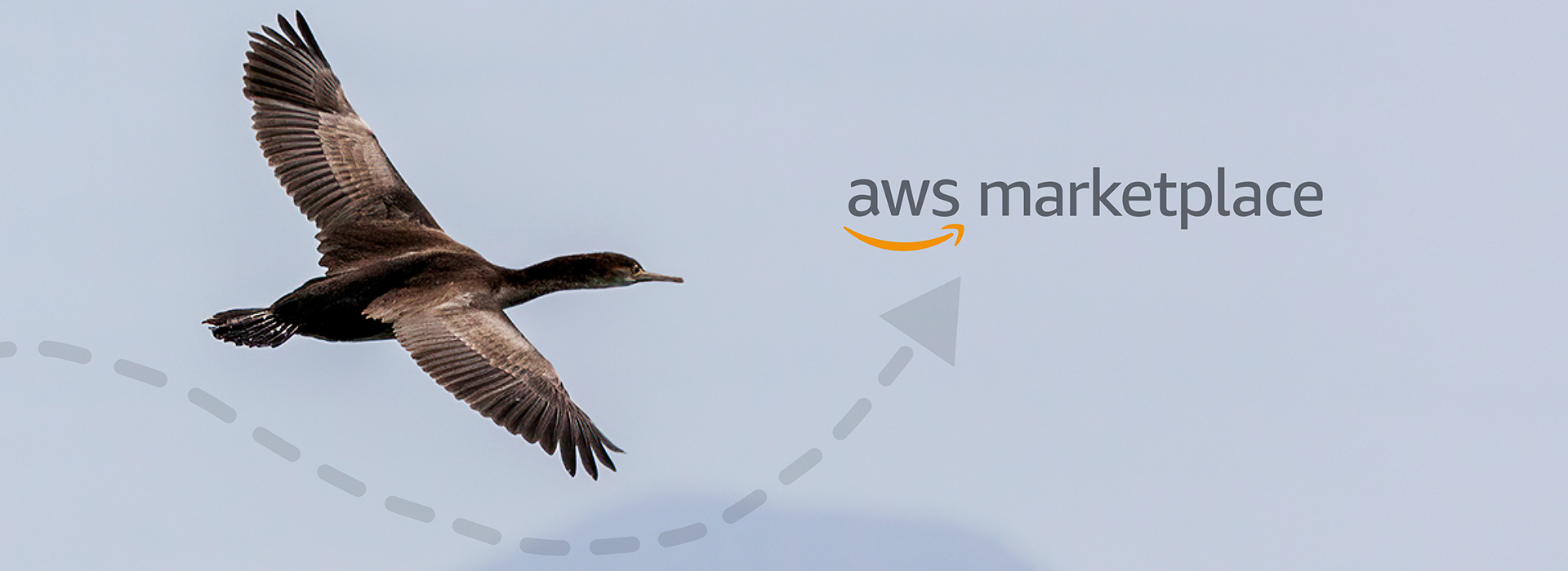How to Migrate an On-Premises Solution to AWS Marketplace