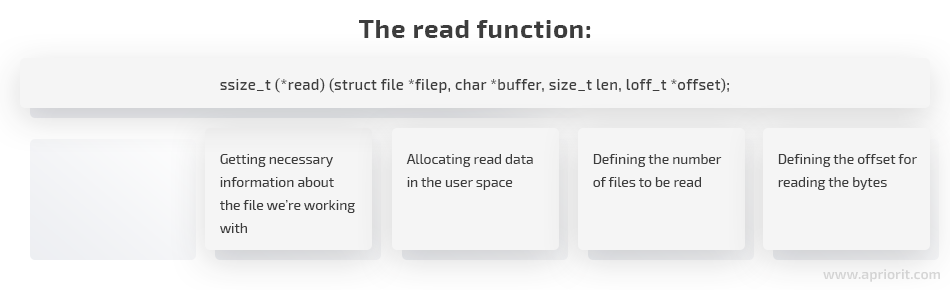 the read function characteristics