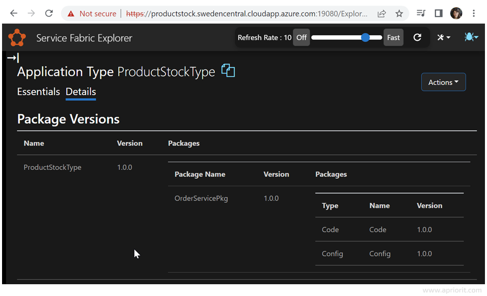 Screenshot 3. Observing details in the Service Fabric explorer