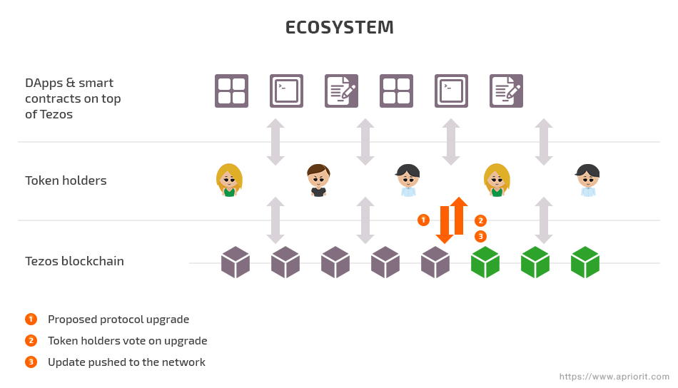 On-chain governance ecosystem