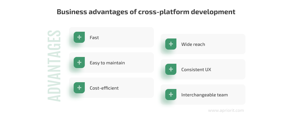 Business advantages of cross-platform development