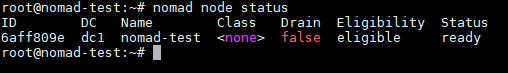 Output of the nomad node status command