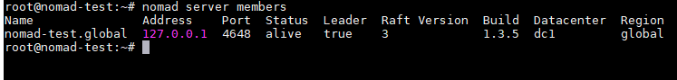 nomad server members command output