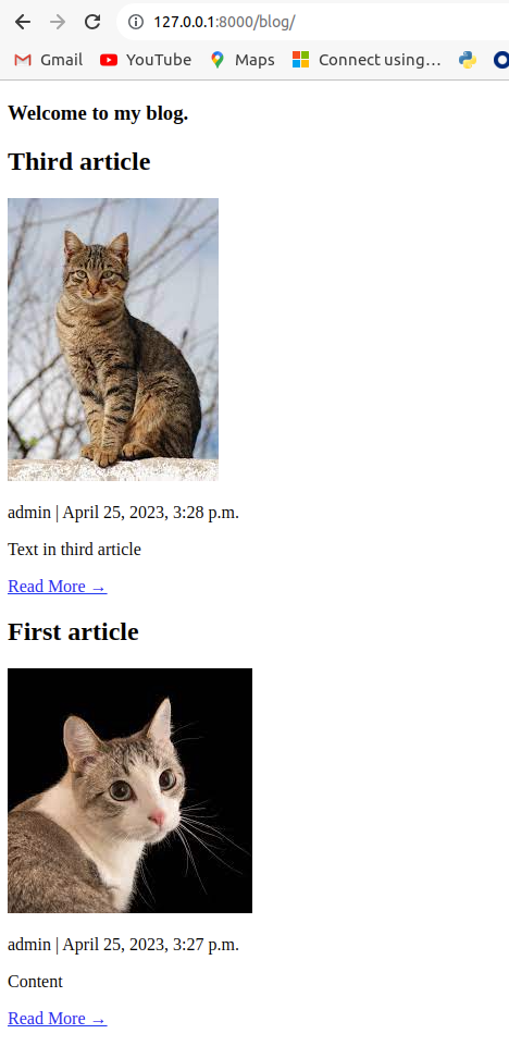An example of what the blog looks like with an image for each post