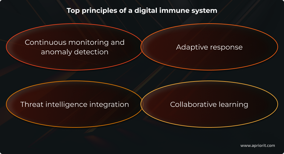 Top principles of a digital immune system