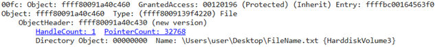 Descriptor of the FileName.txt file