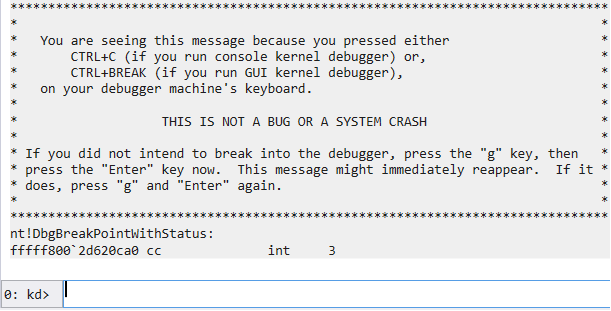 Results of connecting WinDbg to a virtual machine